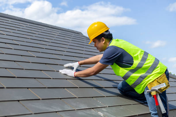 Best Roof Moss and Algae Removal  in Erwin, TN