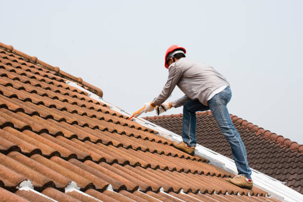 Best Metal Roofing Installation  in Erwin, TN