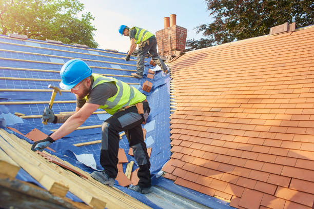 Best Gutter Installation and Repair  in Erwin, TN